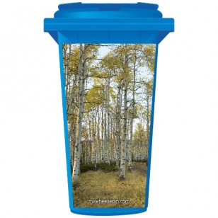 Birch Trees in A Forest Wheelie Bin Sticker Panel